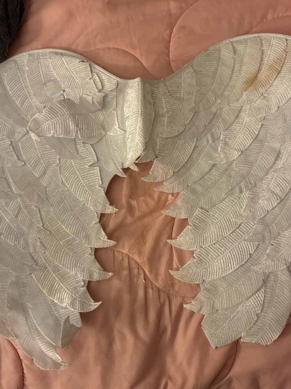 White angel wings